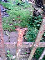 ballynonty 5600.jpg